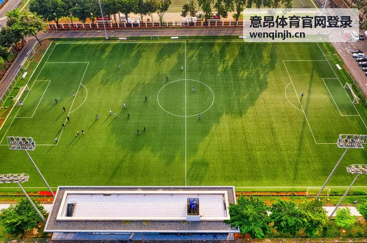 意昂体育官网登录赛事活动与运动场馆服务场景